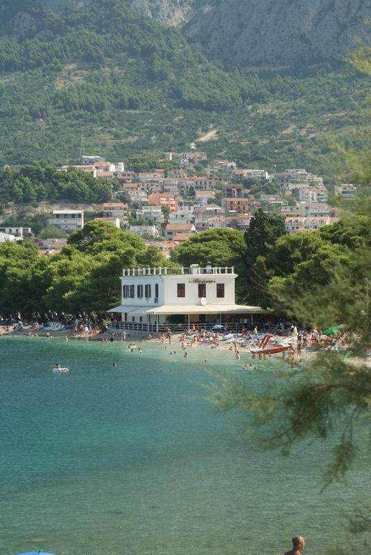Pensjonat Beach Riviera - Zuta Kuca